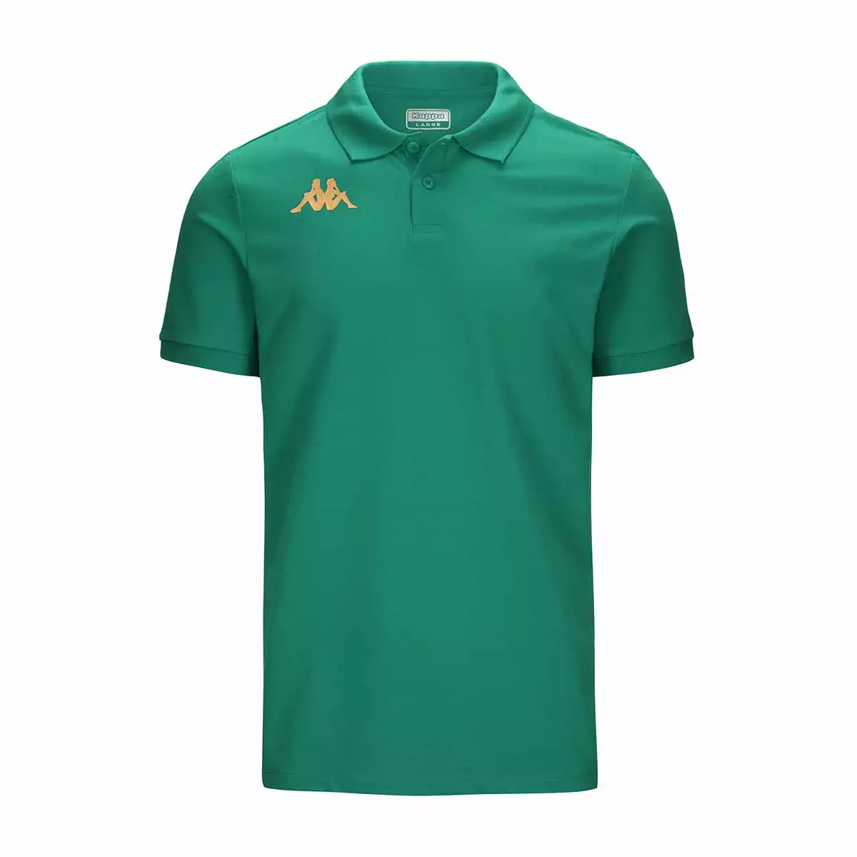 Polo Gastio