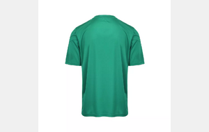 Maillot entrainement Dovo